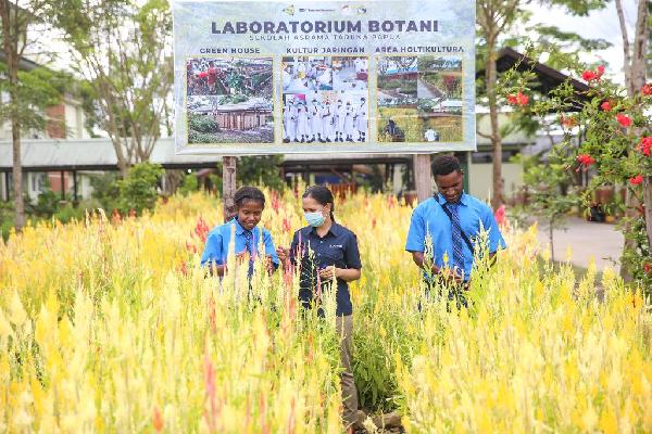 Di Sini Ini Urusan Panu Sampai Kelas Internasional Anak Papua Diperhatikan